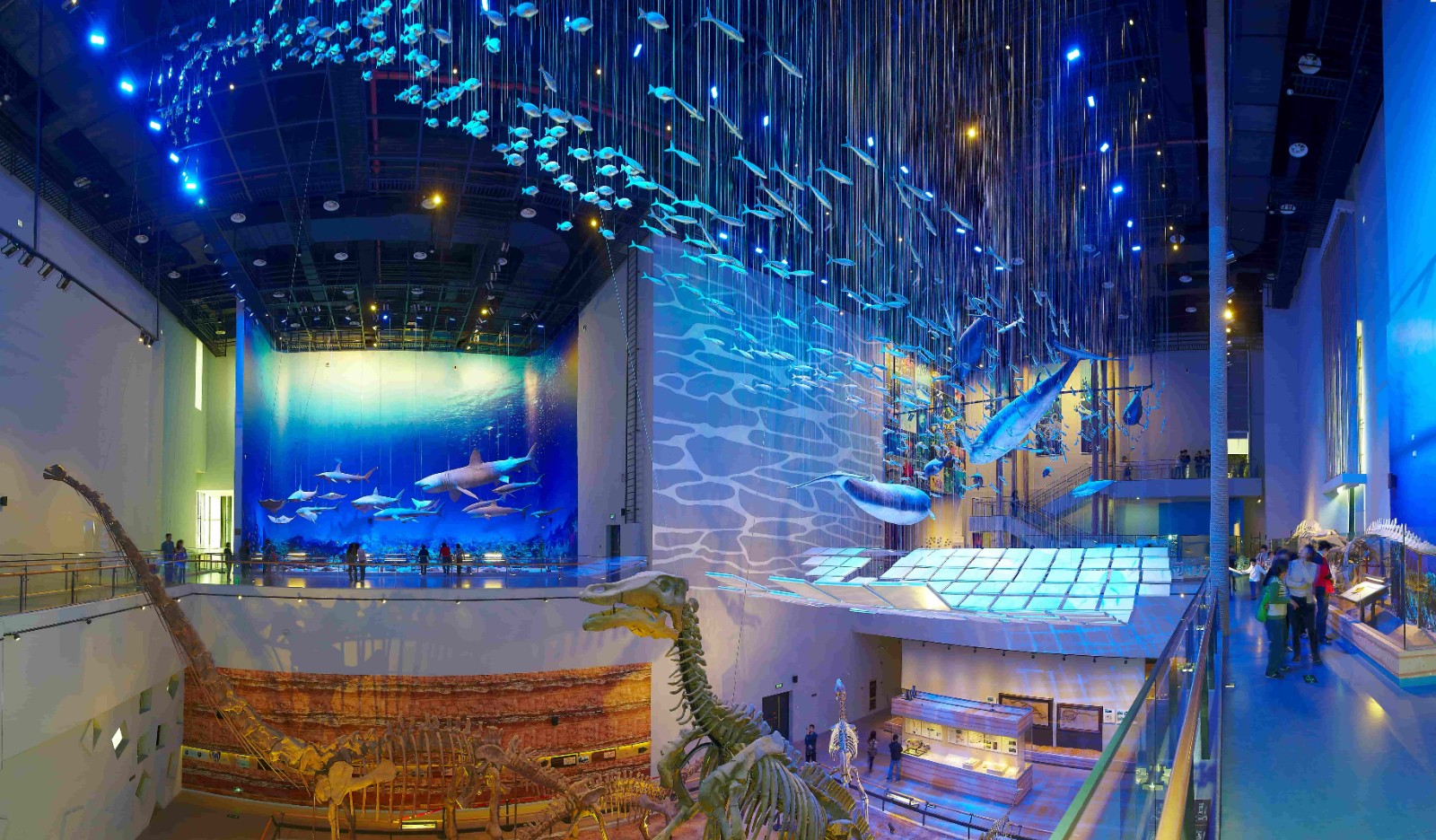 1762499246474 1762499246474